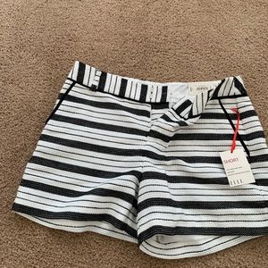 ELLE Dress Shorts in SIZE 6 in Black & White Vertical Stripes. BRAND NEW w/TAGS